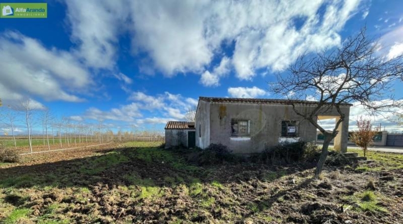 Burgos - Berlangas de Roa - 1569m2