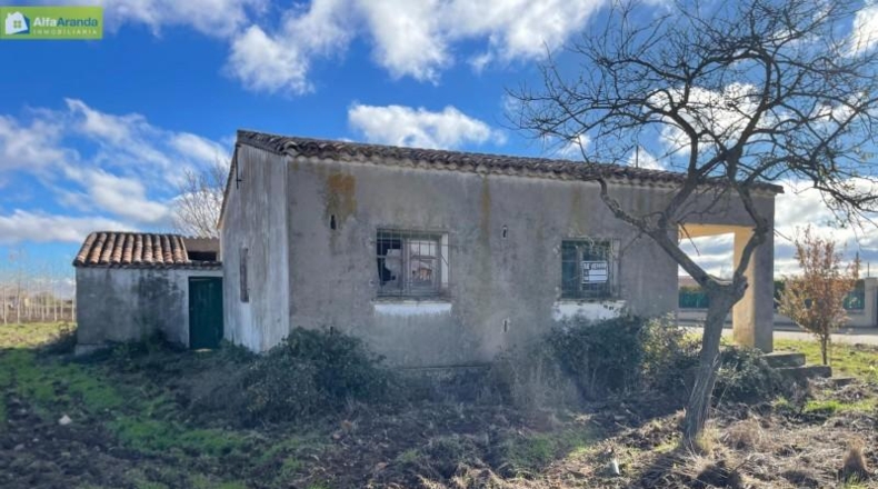Burgos - Berlangas de Roa - 1569m2