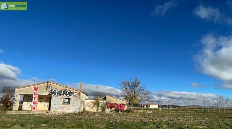 Burgos - Berlangas de Roa - 1569m2