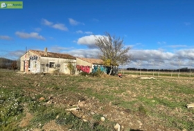 Berlangas de Roa 1569&nbsp;m²