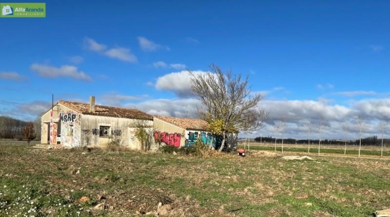 Burgos - Berlangas de Roa - 1569m2