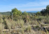 Sòl urbà en venda a la España, Calafell, ref.: TR231243 foto