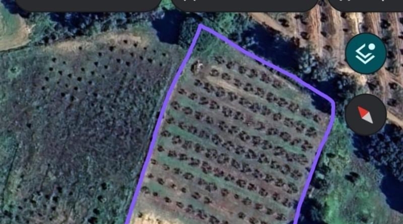 Huelva - Хибралеон - 8000m2