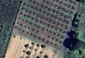 Gibraleón 8000&nbsp;m²