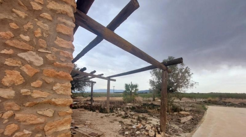 Murcia - Mula - 36000m2