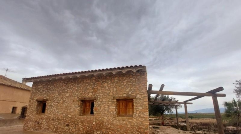 Murcia - Mula - 36000m2