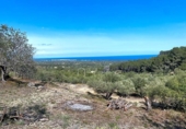 Non-developable land for sale on España, l'Ametlla de Mar, ref: TR130484 photo
