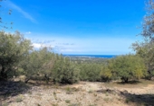 Non-developable land for sale on España, l'Ametlla de Mar, ref: TR130484 photo