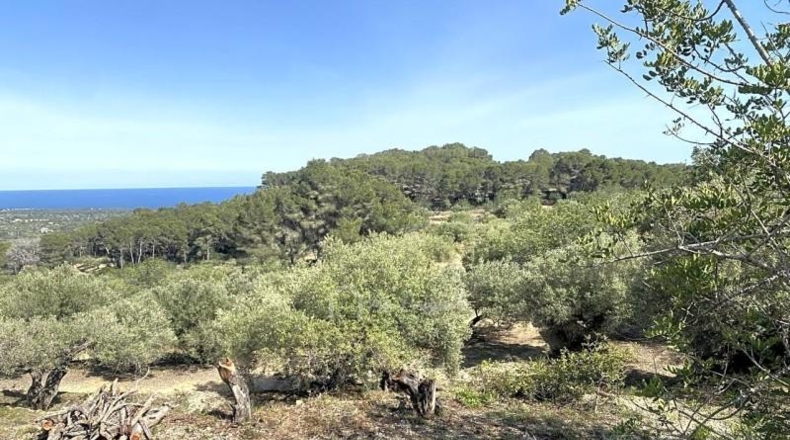Tarragona - l'Ametlla de Mar - 24489m2