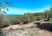 Non-developable land for sale on España, l'Ametlla de Mar, ref: TR130484 photo