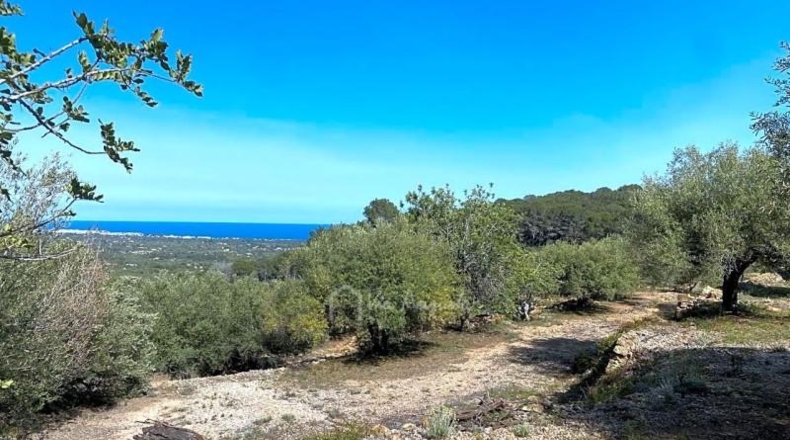 Tarragona - l'Ametlla de Mar - 24489m2