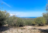 Non-developable land for sale on España, l'Ametlla de Mar, ref: TR130484 photo