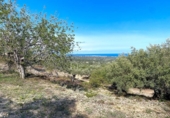 Non-developable land for sale on España, l'Ametlla de Mar, ref: TR130484 photo