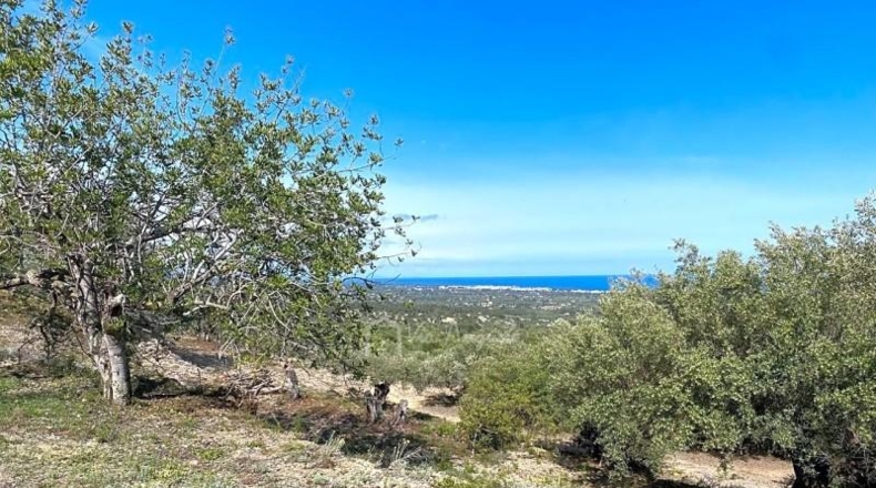 Tarragona - l'Ametlla de Mar - 24489m2