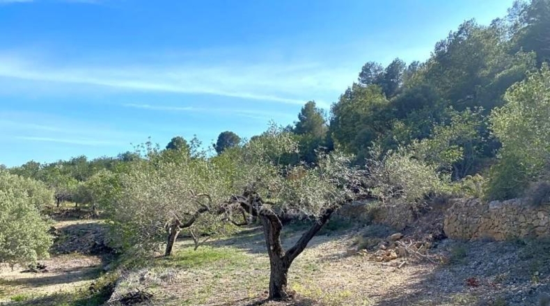 Tarragona - l'Ametlla de Mar - 24489m2