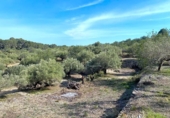 Non-developable land for sale on España, l'Ametlla de Mar, ref: TR130484 photo