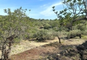 Non-developable land for sale on España, l'Ametlla de Mar, ref: TR130484 photo