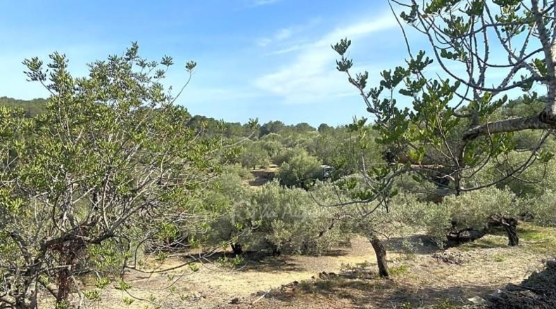 Tarragona - l'Ametlla de Mar - 24489m2