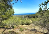 Non-developable land for sale on España, l'Ametlla de Mar, ref: TR130484 photo