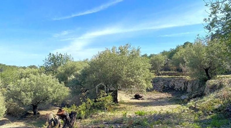 Tarragona - l'Ametlla de Mar - 24489m2