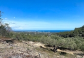 Non-developable land for sale on España, l'Ametlla de Mar, ref: TR130484 photo