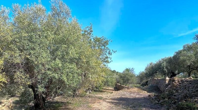 Tarragona - l'Ametlla de Mar - 24489m2