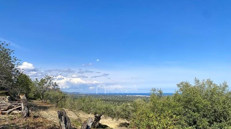Tarragona - l'Ametlla de Mar - 24489m2