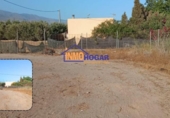 Non-developable land for sale on España, El Ejido, ref: TR130853 photo