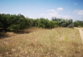 Finca rústica en venta en la España, San Rafael del Río, ref: TR167042 foto