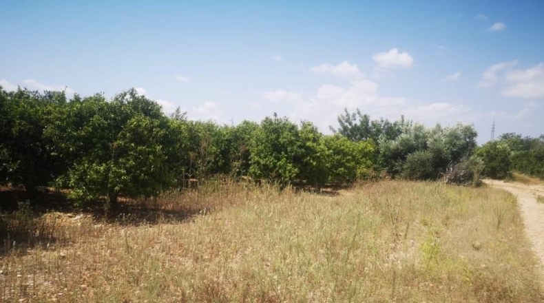 Castellón - San Rafael del Río - 27816m2