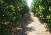 Finca rústica en venta en la España, San Rafael del Río, ref: TR167042 foto