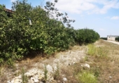 Finca rústica en venta en la España, San Rafael del Río, ref: TR167042 foto