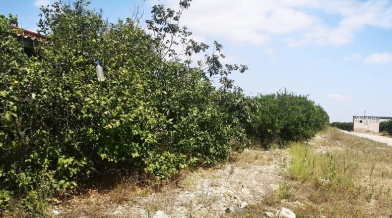 Castellón - San Rafael del Río - 27816m2