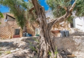 Casa de poble en venda a la España, Paterna de Rivera, ref.: TR294908 foto
