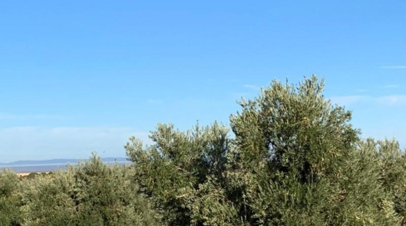 Lerida - Ciutadilla - 91700m2