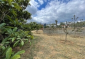 Urban land for sale on España, Canaletes, ref: TR131869 photo