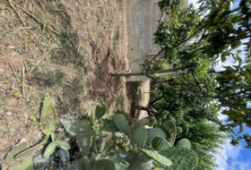 Canaletes 765&nbsp;m² 
