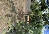 Urban land for sale on España, Canaletes, ref: TR131869 photo