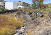 Sòl urbà en venda a la España, Santiago del Teide, ref.: TR118048 foto