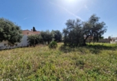 Sòl urbà en venda a la España, Mont-roig del Camp, ref.: TR128922 foto