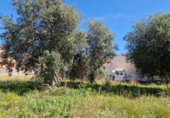 Sòl urbà en venda a la España, Mont-roig del Camp, ref.: TR128922 foto
