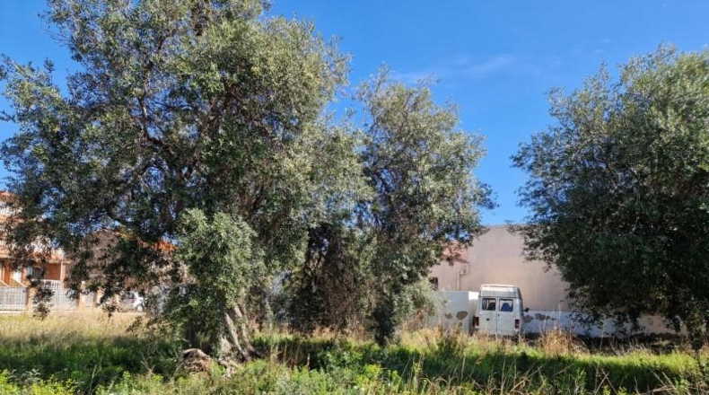 Tarragona - Mont-roig del Camp - 524m2