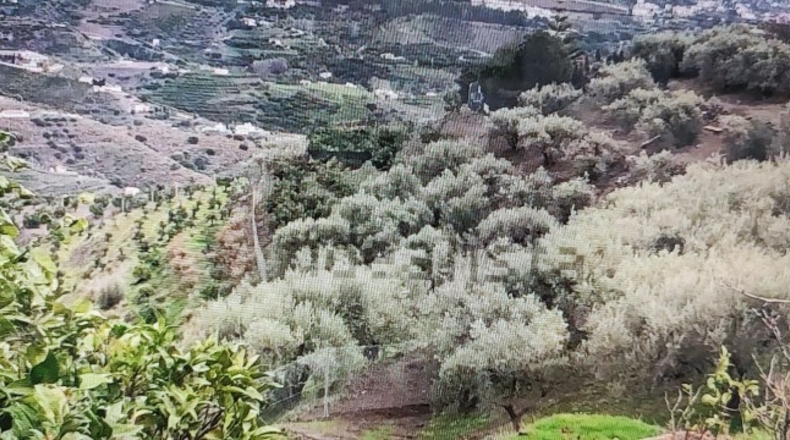 Malaga - Torrox - 2483m2