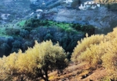 Casa de camp amb terreny en venda a la España, Torrox Park, ref.: TR289357 foto