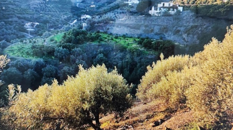 Malaga - Torrox - 2483m2