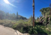 Sòl urbà en venda a la España, Múrcia, ref.: TR176761 foto