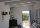 Xalet independent amb terreny en venda a la España, l'Ametlla de Mar, ref.: TR321105 foto