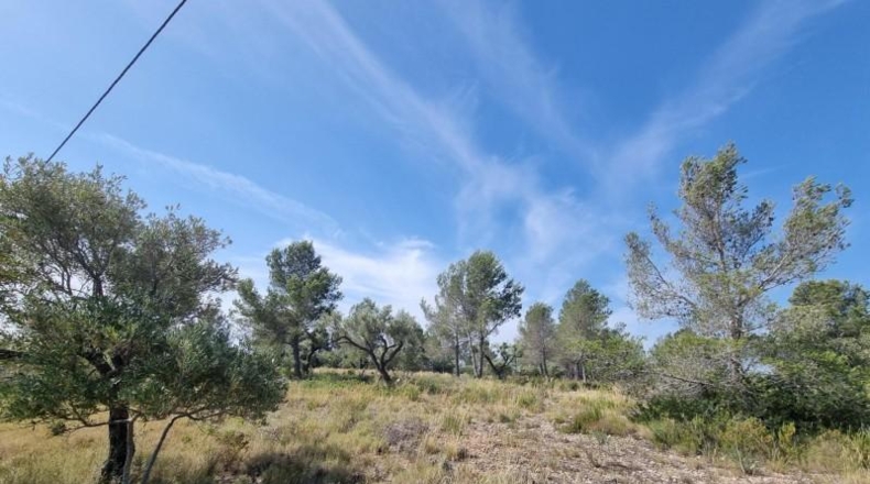 Tarragona - l'Ametlla de Mar - 13506m2