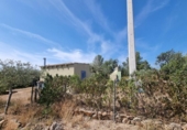 Xalet independent amb terreny en venda a la España, l'Ametlla de Mar, ref.: TR321105 foto