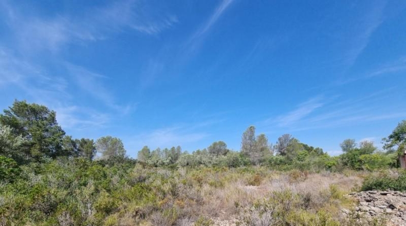 Tarragona - l'Ametlla de Mar - 13506m2